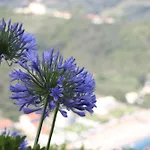 Seasoundstudios * Agios Stefanos Avliotes (Corfu)