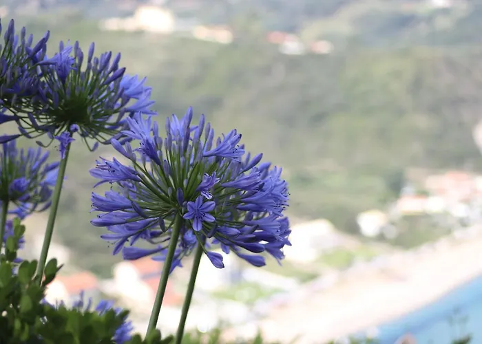 Seasoundstudios * Agios Stefanos Avliotes (Corfu)