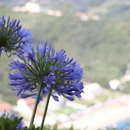 Seasoundstudios * Agios Stefanos Avliotes (Corfu)