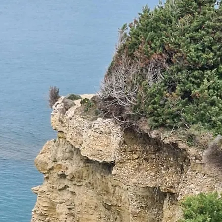 Seasoundstudios Daire *